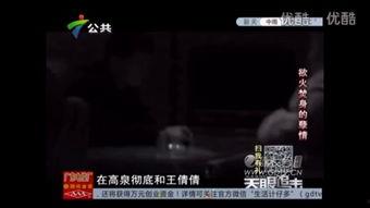 欲火追击在线视频,激情四溢的惊险追击之旅