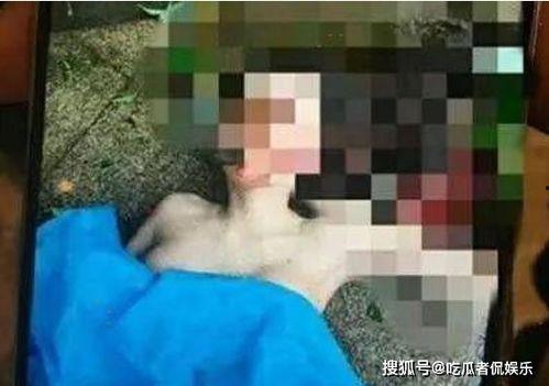 美女私处推油在线视频,专业推油视频解析